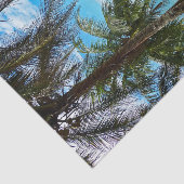 Pura Vida in Costa Rica - Zentralamerika Seidenpapier (Ausschnitt)