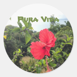 Pura Vida mit Hibiskus Sticker
