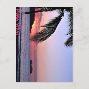 Pura Vida! Postkarte