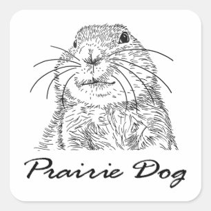 purairie Hundegesicht 3 Quadratischer Aufkleber