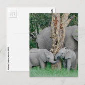 Pure Bliss Postkarte (Vorne/Hinten)