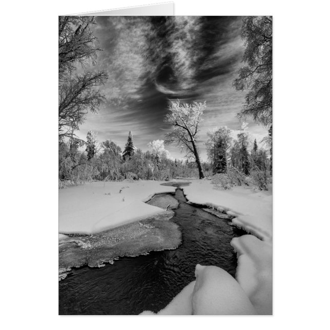 Pure Campbell Creek (Vorne)