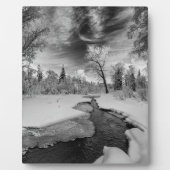Pure Campbell Creek Fotoplatte (Vorderseite)
