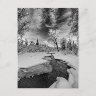 Pure Campbell Creek Postkarte