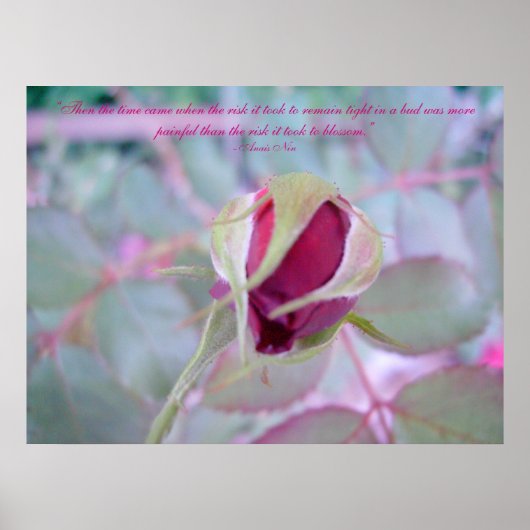 Pure Elegance Poster (Vorne)