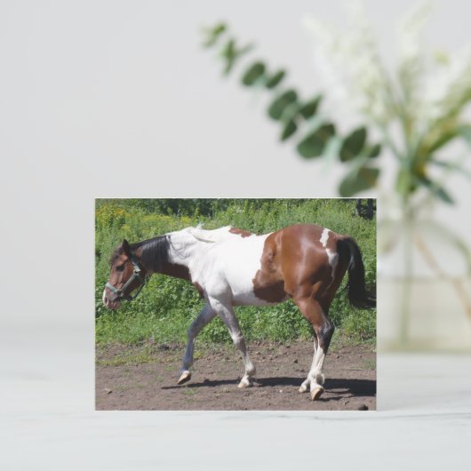 Pure Farbe Postkarte (Stehend Vorderseite)