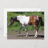 Pure Farbe Postkarte (Vorne/Hinten)