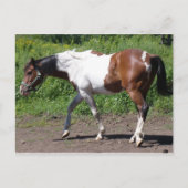 Pure Farbe Postkarte (Vorderseite)