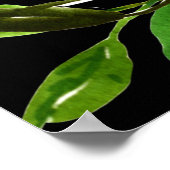 Pure Liebe Poster (Ecke)