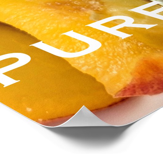 PURE NECTAR POSTER (Ecke)