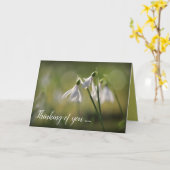 Pure White Snowdrops in Spring Karte (Gelbe Blume)