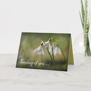 Pure White Snowdrops in Spring Karte