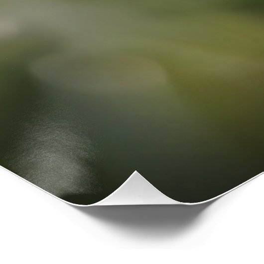 Pure White Snowdrops in Spring Poster (Ecke)