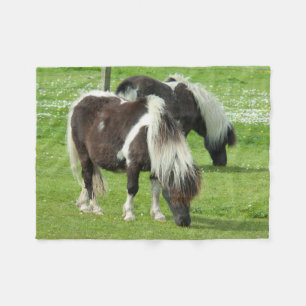 Purebred Shetland Paint Ponies Fleecedecke