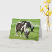 Purebred Shetland Paint Ponies Karte (Gelbe Blume)