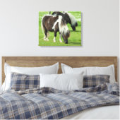 Purebred Shetland Paint Ponies Leinwanddruck (Insitu (Schlafzimmer))