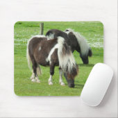Purebred Shetland Paint Ponies Mousepad (Mit Mouse)