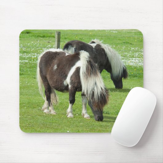 Purebred Shetland Paint Ponies Mousepad (Mit Mouse)