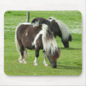 Purebred Shetland Paint Ponies Mousepad (Vorne)