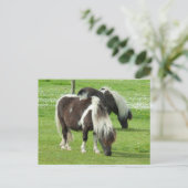 Purebred Shetland Paint Ponies Postkarte (Stehend Vorderseite)