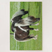 Purebred Shetland Paint Ponies Puzzle (Vertikal)