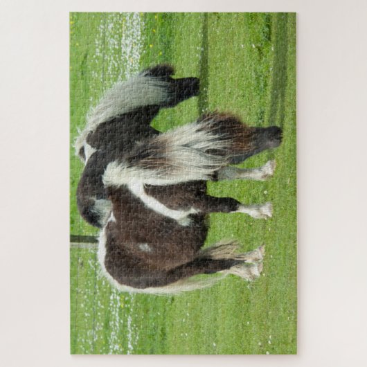 Purebred Shetland Paint Ponies Puzzle (Vertikal)