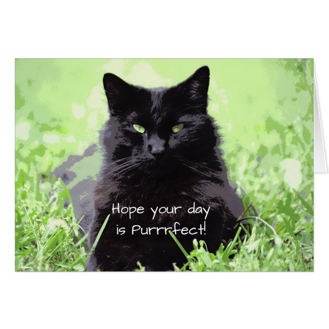 Purfect Cat Geburtstagskarte (Vorderseite (Horizontal))