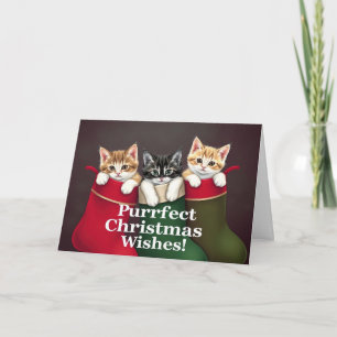 Purfect Christmas wünscht Katzen Karte