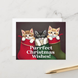 Purfect Christmas wünscht Katzen Postkarte