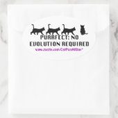 Purfect Evolution Promo-Aufkleber Ovaler Aufkleber (Tasche)