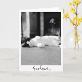 Purfect Kitty Greetings Card Karte (Gelbe Blume)