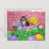 Purfect Oaster wünscht sich! Feiertagspostkarte (Vorne/Hinten)