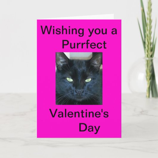 Purfect Valentinstag Feiertagskarte (Vorderseite)