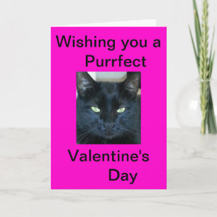 Purfect Valentinstag Feiertagskarte