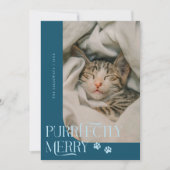 Purfekt Merry Cat Foto Aquamarin Weihnachten (Vorderseite)