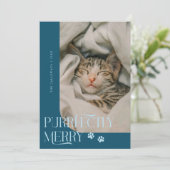 Purfekt Merry Cat Foto Aquamarin Weihnachten (Stehend Vorderseite)