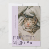 Purfekt Merry Cat Foto Lila Weihnachten (Vorderseite)