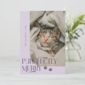 Purfekt Merry Cat Foto Lila Weihnachten (Stehend Vorderseite)