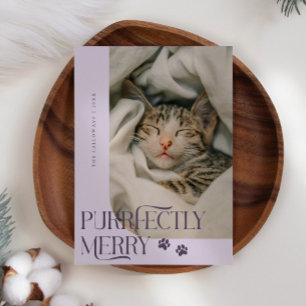 Purfekt Merry Cat Foto Lila Weihnachten