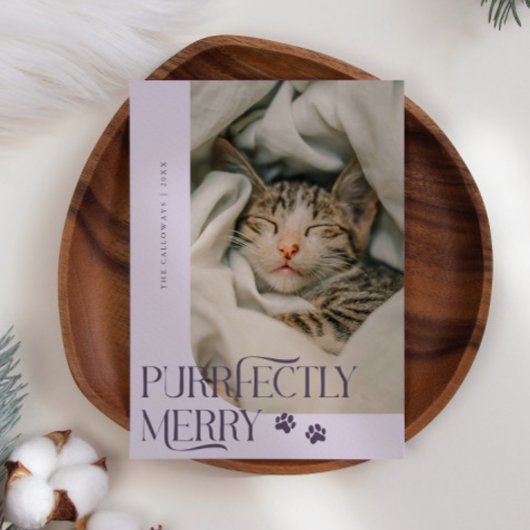 Purfekt Merry Cat Foto Lila Weihnachten