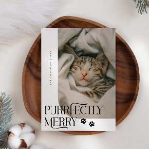 Puriftig Merry Cat Foto White Christmas Feiertagskarte