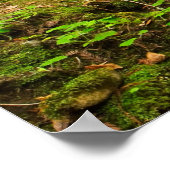 Purisima Creek Redwoods, Kalifornien Poster (Ecke)