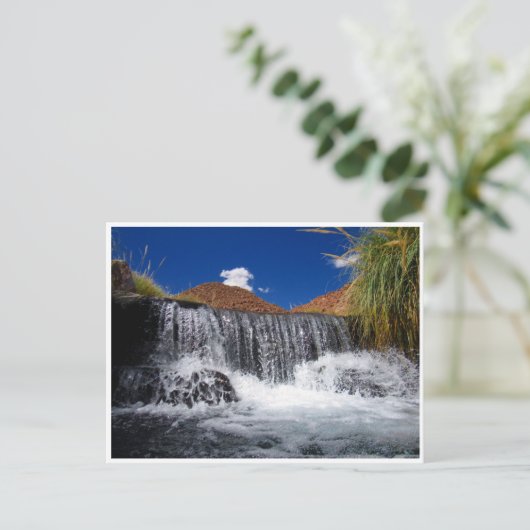 Puritamussfall Postkarte (Stehend Vorderseite)