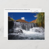 Puritamussfall Postkarte (Vorne/Hinten)