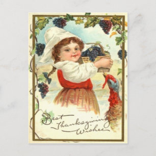 Puritan Girl Picking Grapes Postkarte