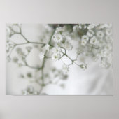 Purity Canvas Print Poster (Vorne)