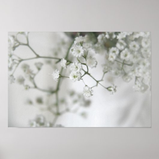 Purity Canvas Print Poster (Vorne)