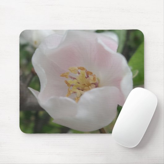 Purity Mousepad (Mit Mouse)