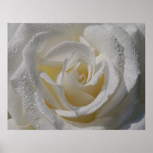 'Purity'-Plakat Poster (Vorne)