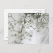 Purity Postcard Postkarte (Vorne/Hinten)